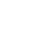 icon1 icon1