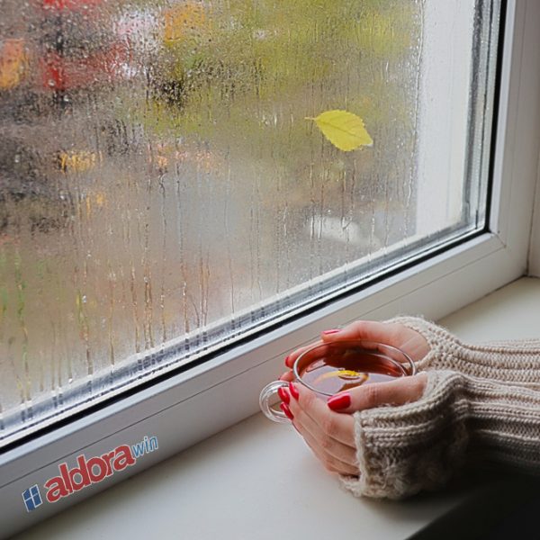 بخار پنجره UPVC (1)