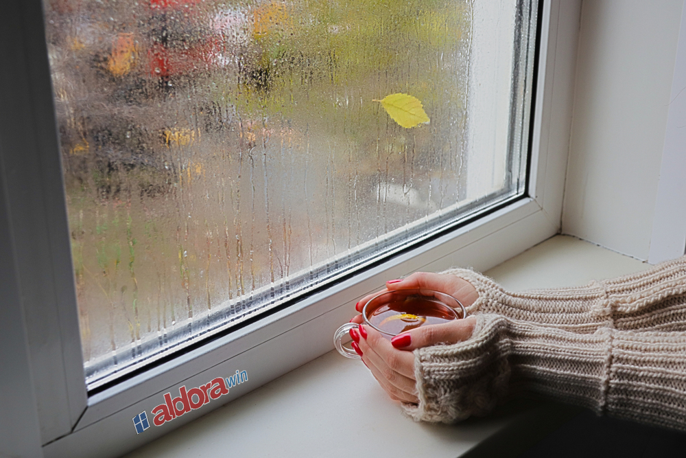 بخار پنجره UPVC (1)